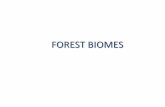 FOREST BIOMES - Woodland Hills School District Biomes Power Point.pdf · Forest Biomes: Forests cover approximately 26%-29% of the Earth’s continental surface; 2/3 of the leaf area