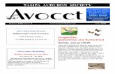 TAMPA AUDUBON SOCIETY - Donutsdocshare01.docshare.tips/files/3618/36188305.pdf · Tampa Audubon Society Mail to: Tampa Audubon Society P.O. Box 320025 Tampa, FL 33679 Your membership