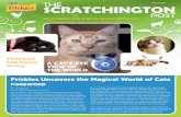 Friskies Uncovers the Magical World of Cats...-1-An exclusive look at the magical world of cats FOREWORD Dr. Jill Villarreal Purina® Animal Behavior Scientist We know that cats experience