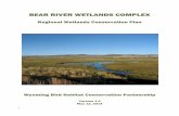 BEAR RIVER WETLANDS COMPLEX - Wyoming Game · 2015-07-20 · GENERAL DESCRIPTION AND LAND USE . The Bear River Wetlands Complex (Fig. 1) covers approximately 386,500 acres in Lincoln