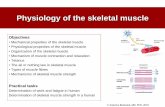 Physiology of the skeletal muscle · Sites, causes and mechanisms of fatigue: •Neuromuscular depression (fatigue of synapses) - synapse –most prone to fatigue - every successive