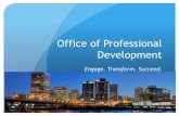 Office of Professional Developmentcdn.vccs.edu/wp-content/uploads/2014/11/nfs_pdcbriefing_isikessel.pdf · developmental courses Facilitated by the National Center for Developmental