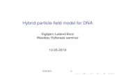 Sigbjørn Løland Bore Weekley Hylleraas seminar 10.05folk.uio.no/sigbjobo/presentations/Hylleraas_Seminar_10... · 2019-05-10 · Hybrid particle-ﬁeld model for DNA Sigbjørn Løland