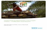 Implementing Deforestation-Free Supply Chains – Certification … · 1.3 Examining the role of certification in reducing deforestation in different sectors 5 1.4 Principal limitations
