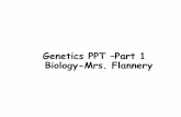 Genetics PPT Part 1 Biology-Mrs. Flanneryflanneryscience.weebly.com/uploads/2/5/3/1/25316760/genetics_ppt_part... · Genetics PPT –Part 1 Biology-Mrs. Flannery. In an Abbey Garden