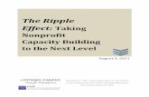The Ripple Effect: Taking Nonprofit Capacity …...The Ripple Effect: Taking Nonprofit Capacity Building to the Next Level August 9, 2011 Disclaimer: This research project is not meant