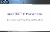 ScopTEL IP PBX Software...ScopTELTM IP PBX Software Specific Server Outgoing Lines Outgoing Lines use pattern matching to steer the dialed number to the remote server: 9x. is the PSTN