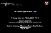 Human Organs-on-Chipsnas-sites.org/emergingscience/files/2014/07/Bahinski.pdf · constituent cells or delivered through the vasculature • Regulated by mechanical forces (e.g., due