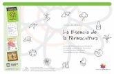 La Esencia de la Permacultura - Versión en Españolmanantialdetara.org/wp-content/uploads/2016/07/Essence_of_Pc_ES.pdf · el CUrso De Diseño De perMaCUlTUra la mayor parte de la