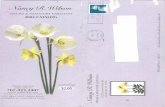 dafflibrary.org · Ordered by: Name Address City Country 13W-w ..... ORDER FORM CN Zip Zip SPECIES NARCISSUS Section Apodanthi AP-RUP N. rupicola 13Y-Y.