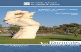 RUA, Repositorio Institucional de la Universidad de Alicante - DESARROLLO DEL …rua.ua.es/dspace/bitstream/10045/56827/1/tesis_gloria... · 2016-07-16 · avance acelerado de la