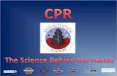 1994-96 Standing Orders · 1994-96 Standing Orders “The designated CPR person will begin chest compressions immediately…for 90 seconds…” 1990-93 Standing Orders “Application