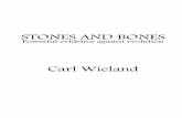 STONES AND BONES - Creation Ministries Internationaldownloads.creation.com/free_resources/pdf/Stones_and_Bones.pdf · 4 Stones and Bones and being able to check on these observations