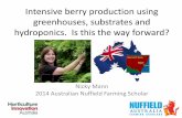 Intensive berry production using greenhouses, substrates ... · Intensive berry production using greenhouses, substrates and hydroponics. Is this the way forward? Nicky Mann 2014