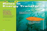 Lesson 2 Roles in Energy Transfer - my6science.weebly.com · eaten or decomposes, the consumer or decomposer takes in the energy stored in the original organism. Only chemical energy