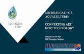 MICROALGAE FOR AQUACULTURE: CONVERTING ART INTO … · “Algae are at the base of the entire aquatic food chain,… Therefore, it is not surprising that the microalgae which compose