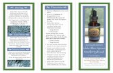 Spruce Needle Brochure - Natural Alternative Pathnaturalalternativepath.com/blog/wp-content/uploads/2013/07/Spruce-Needle-Brochure.pdf• Pregnant women and other sensitives should