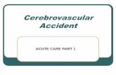Cerebrovascular Accident - challengesandinitiatives.trubox.ca · Cerebrovascular Accident ACUTE CARE PART 1. Nervous System Anatomy and Physiology Review The nervous system acts as