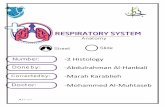 -2 Histology -Abdulrahman Al-Hanbali -Marah Karablieh ... · In the last histology lecture, we started talking about the respiratory tract and we talked about the upper respiratory