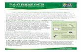 Plant Disease and Pest Diagnostic Guidelines for Extension Agents · 2016-02-10 · Plant Disease and Pest Diagnostic Guidelines for Extension Agents The process of diagnosing plant