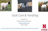 Goat Care & Handling - UNL Animal Science · 2019-04-08 · Vaccinations •Clostridium perfringens types C and D (overeating disease) and tetanus is the most common disease in goats