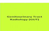 Genitourinary Tract Radiology (GUT) · 2020-01-22 · Renal Tumors By Multidetector Computed Tomographic Renal Angiography Dr Amena Nayyer 26th Jan 10:50 - 11:00 Am Hall P1 Role Of