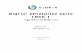 BigFix Enterprise Suite (BESsupport.bigfix.com/product/documents/BESImportExportReference-6.0.pdf · BigFix® Enterprise Suite ...  xs:normalizedString