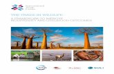 THE TRADE IN WILDLIFE - International Union for ... · THE TRADE IN WILDLIFE SC-15-311.E iii Contents Contents iii Acknowledgements v Foreword from A. González, ITC vi Foreword from