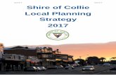 Appendix 9 Appendix 9 Shire of Collie Local Planning ... · In 2016 Collie had an estimated population of 8,798 people with the townsite itself comprising a population of 7,587 people