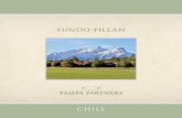 FUNDO PILLÁN - Pampa Partners · l Fundo Pillán es un predio de 492 hectáreas, ubicado en la comuna de Chaitén, en la provincia de Palena, X Región o Región de Los Lagos, Chile.