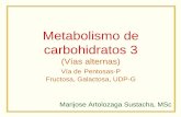 Metabolismo de carbohidratos 3 (Vías alternas) Vía de ... · Metabolismo de carbohidratos 3 (Vías alternas) Vía de Pentosas-P Fructosa, Galactosa, UDP-G Marijose Artolozaga Sustacha,