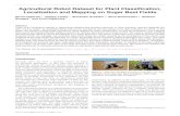 Agricultural Robot Dataset for Plant Classiﬁcation ...Agricultural Robot Dataset for Plant Classiﬁcation, Localization and Mapping on Sugar Beet Fields Nived Chebrolu 1, Philipp