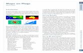 Maps on Flags - The Flag Institute Kaye.pdf · I asked my flag colleagues to help me in this task. Many responded, with information and flag images from all parts of vexillology.