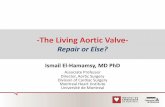 -The Living Aortic Valve-...MECHANICAL AVR IN THE YOUNG Long-term outcomes after elective isolated mechanical aortic valve r eplacement in young adults Ismail Bouhout, MSc, a Louis-Math
