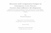 Burnout and Compassion Fatigue in Emergency Care Nurses ... · PDF file 1.7 Empirical studies related to the study problem ... 2009) which analysed compassion satisfaction and ...