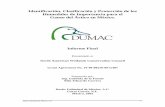 Identificacin, Clasificacin y Proteccin de los Humedales ...dumac.org/dumac/habitat/esp/pdf/Informe-Final-humedales.pdf · de las áreas importantes de anidación en Alaska y Canadá.