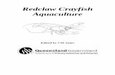 REDCLAW CRAYFISH AQUACULTURE · categories - black (heavy clays), red (light clays) and river loams. Drawing on the property dam construction experience, there appears to be few problems