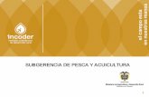 SUBGERENCIA DE PESCA Y ACUICULTURAcpps.dyndns.info/cpps-docs-web/secgen/2011/sept/taller_acuerdo_rector... · Cartagena, SAN ANDRES CARACOL PALA CITES* Permisos - Pesqueria cerrada