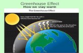 Greenhouse Effect - PlainvieGreenhouse Effect •The Process by which atmosphere gases ... Is Global Warming Melting Ice Caps? 3. What percent of the polar ice caps have melted since