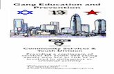 Gang Education and Prevention - Charlotte, North Carolina7) Born into a family with gang members. 8) Acceptance of gangs in Pop Culture. What is a Gang ? A gang as defined by the North