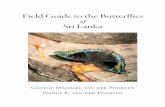 Field Guide to the Butterflies of Sri Lankalepodonbooks.com/images/FieldGuide/FG_SamplePages_LoRes.pdf · Fauna of Sri Lanka (van der Poorten & van der Poorten, 2016). Common names: