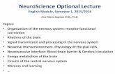 NeuroScience Optional Lecture - Fiziologie Optional 1_2015.pdf · NeuroScience Optional Lecture English Module, Semester 1, 2015/2016 Ana-Maria Zagrean M.D., Ph.D. Topics: • Organization