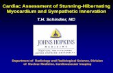 Cardiac Assessment of Stunning -Hibernating Myocardium and ... · Cardiac Assessment of Stunning -Hibernating Myocardium and Sympathetic Innervation. T.H. Schindler, MD . Department