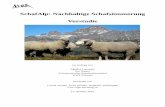 SchafAlp: Nachhaltige Schafsömmerung Vorstudie · Das Zentrum für Fisch- und Wildtiermedizin (FIWI) der Universität Bern forscht aktuell über die Blauzungenkrankheit (BT) und