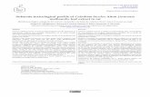 Subacute toxicological profile of Caladium bicolor Aiton (Araceae) …jppres.com/jppres/pdf/vol6/jppres18.411_6.6.503.pdf · 2018-09-15 · Subacute toxicological profile of Caladium