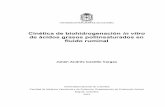 Cinética de biohidrogenación in vitro de ácidos grasos … · 2013-07-08 · VI Cinética de biohidrogenación in vitro de ácidos grasos poliinsaturados en fluido ruminal Agradecimientos