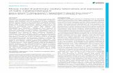 Mouse model of pulmonary cavitary tuberculosis and ... · Mouse model of pulmonary cavitary tuberculosis and expression of matrix metalloproteinase-9 Alvaro A. Ordonez1,2,3,*, ...