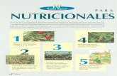 biblioteca.inia.clbiblioteca.inia.cl/medios/biblioteca/ta/NR25763.pdf · Una de las formas de diagnosticar las deficiencias de nutrientes en las plantas es por síntomas visuales,