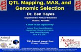 QTL Mapping, MAS, and Genomic Selection · • If one loci is a marker and the other is QTL •The r 2 between a marker and a QTL is the proportion of QTL variance which can be observed
