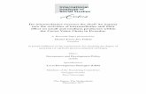 Do intermediaries sweeten the deal? An inquiry into the ... · 6.1 Behaviour of intermediaries and producers during a transaction . iv 6.2 Exporters and, small and medium producers